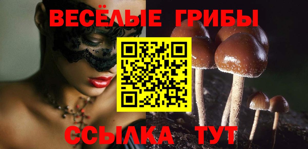 Псилоцибиновые грибы мухоморы Каменск-Уральский